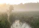 Morning mist at 5.35am