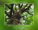 Finally, be strong in the Lord, and in the strength of his might. (Ephesians 6.10 WEB)