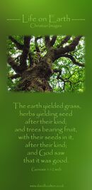 The earth yielded grass, herbs yielding seed after their kind, and trees bearing fruit, with their seeds in it, after their kind; and God saw that it was good. (Genesis 1:12 WEB)