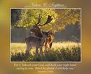For I, Yahweh your God, will hold your right hand, saying to you, ‘Don’t be afraid. I will help you.’ (Isaiah 41.13 WEB).
