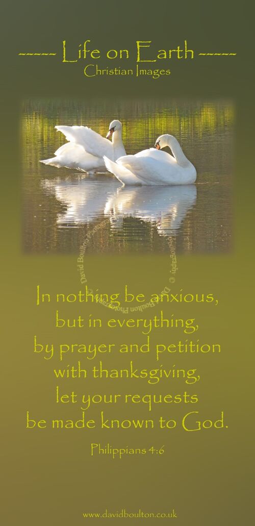 In nothing be anxious, but in everything, by prayer and petition with thanksgiving, let your requests be made known to God. (Philippians 4:6 WEB)
