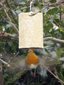 Robin trying to get onto fat feeder!