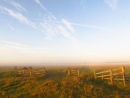 Early morning