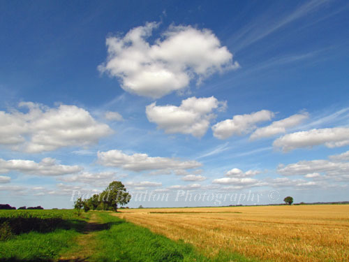 NORFOLK - THE WEAVERS WAY