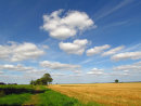 Norfolk - The Weavers Way