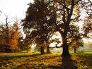 Autumn sunlight and shadows
