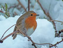 December