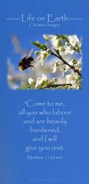“Come to me, all you who labor and are heavily burdened, and I will give you rest. (Matthew 11:28 WEB)