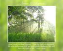 Again, therefore, Jesus spoke to them, saying, “I am the light of the world. He who follows me will not walk in the darkness, but will have the light of life.” (John 8:12 WEB)