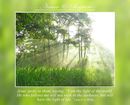 Again, therefore, Jesus spoke to them, saying, “I am the light of the world. He who follows me will not walk in the darkness, but will have the light of life.” (John 8:12 WEB)