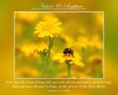 Now may the God of hope fill you with all joy and peace in believing, that you may abound in hope, in the power of the Holy Spirit. (Romans 15:13 WEB)