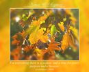 For everything there is a season, and a time for every purpose under heaven: (Ecclesiastes 3.1 WEB)