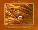 Trust in him at all times, you people. Pour out your heart before him. God is a refuge for us. (Psalms 62:8 WEB)
