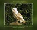 …in whose hand is the life of every living thing, and the breath of all mankind? (Job 12.10 WEB)
