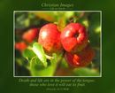 Death and life are in the power of the tongue; those who love it will eat its fruit. (Proverbs 18:21 WEB)