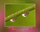 …God, who covers the sky with clouds, who prepares rain for the earth… (Psalm 147:7-8 WEB)