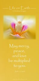 May mercy, peace, and love be multiplied to you. (Jude 1:2 WEB)