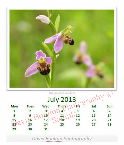 July 2013