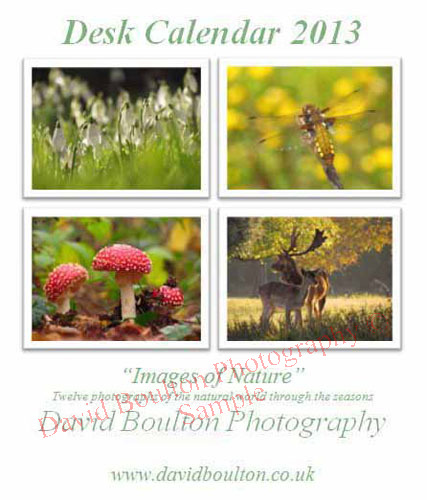 Calendar 2013