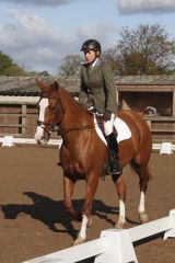 David Clarry Photography was at PARKLANDS EQUESTRIAN CENTRE ON Friday 7 OCT