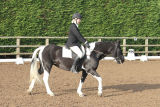 Parklands Equestrian Centre Dressage competition 16 Nov