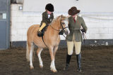 Moorhouse Equestrian Centre Showing 7 April 2013