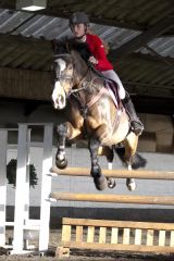 Moorhouse 'Trailblazer' Showjumping Senior Show