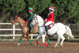 Milton Equestrian Centre, Worksop, Open Christmas Show
