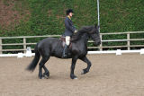 Parklands Equestrian Centre photos now uploaded
