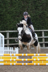 Parklands Equestrian Centre, Aston Showjumping