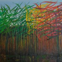 20101-Reeds with colourful aspirations