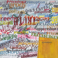 20152-Cacophony of Fabrications