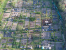 Allotment April 19