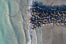 Bognor Regis Groyne