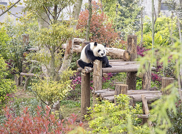 Chengdu