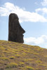Moai Profile