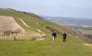 South Downs Way