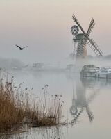 Thurne 04