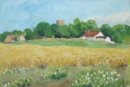 Mayweed and ripening corn at Patrick Brompton