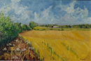 Harvest scene in Wensleydale looking towards Akebar