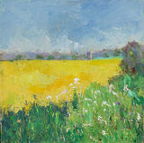 Wild flowers and rape field with Well church in distance