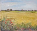 Cornfields and poppies near Great Fencote
