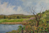 Penhill from Pinkers Pond, near Middleham, Coverdale