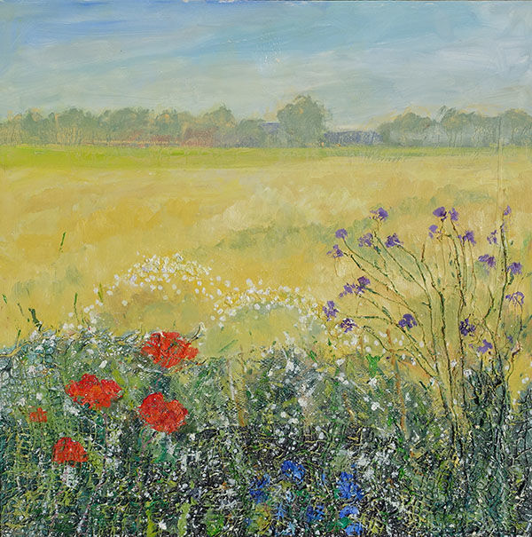 Cornfield in spring - Ellerton