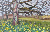 Trees and daffodils