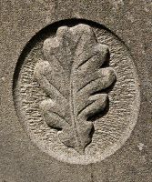 Oak leaf motif