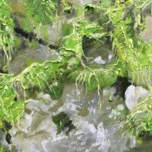 Algae on the rocks detail