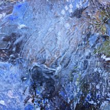 Detail from Trout on the river Itchen