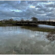 Muchelney floods 3 2022