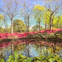 Azaleas around the still pond Isabella Plantation Richmond Park London